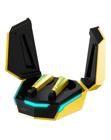 Wireless Earbuds CTC-X899